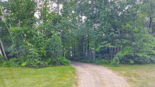 Photo for 11070 County Road 25, Mizpah, MN 56660 - Listing #6573239 11070 County Road 25, Mizpah, MN 56660
