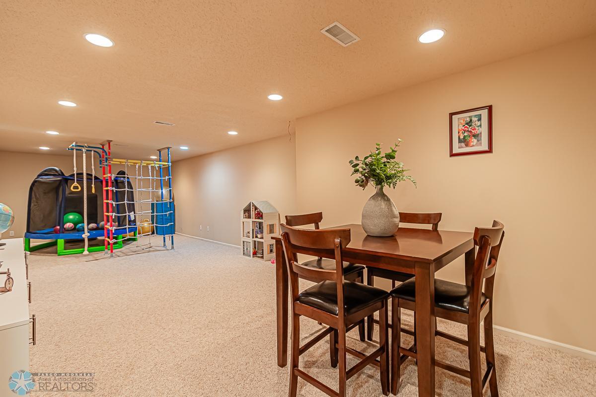 Basement Family Room