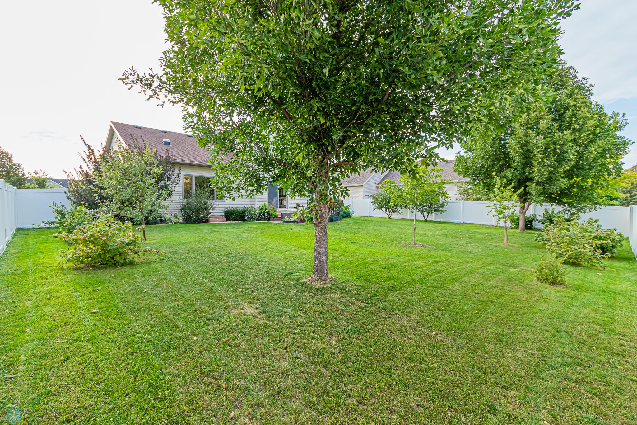 Backyard 2