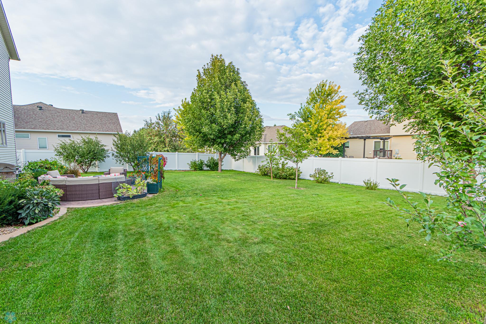 Backyard 3