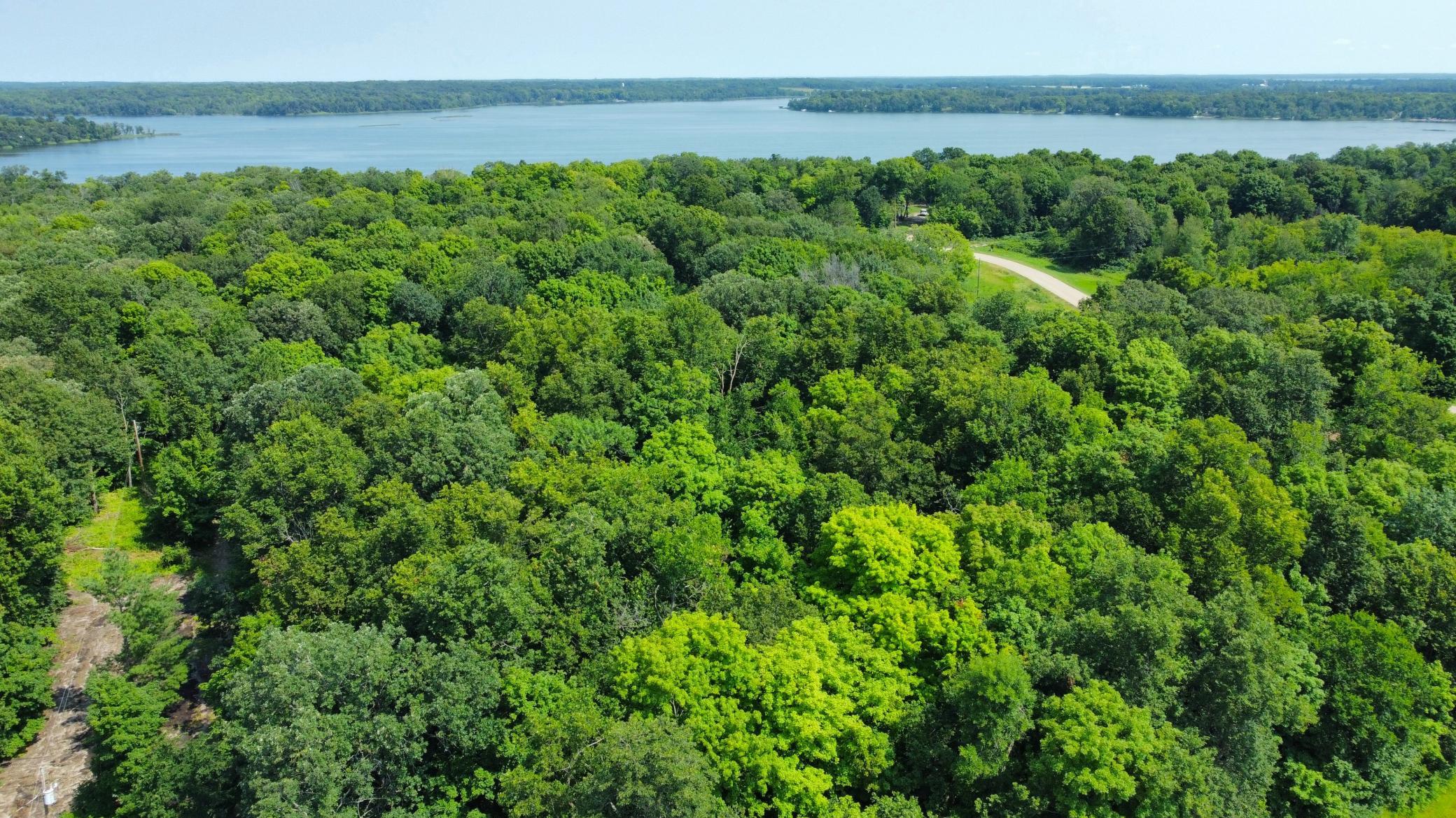 dji_fly_20240724_114734_747_1721839887408_photo_optimized.JPG