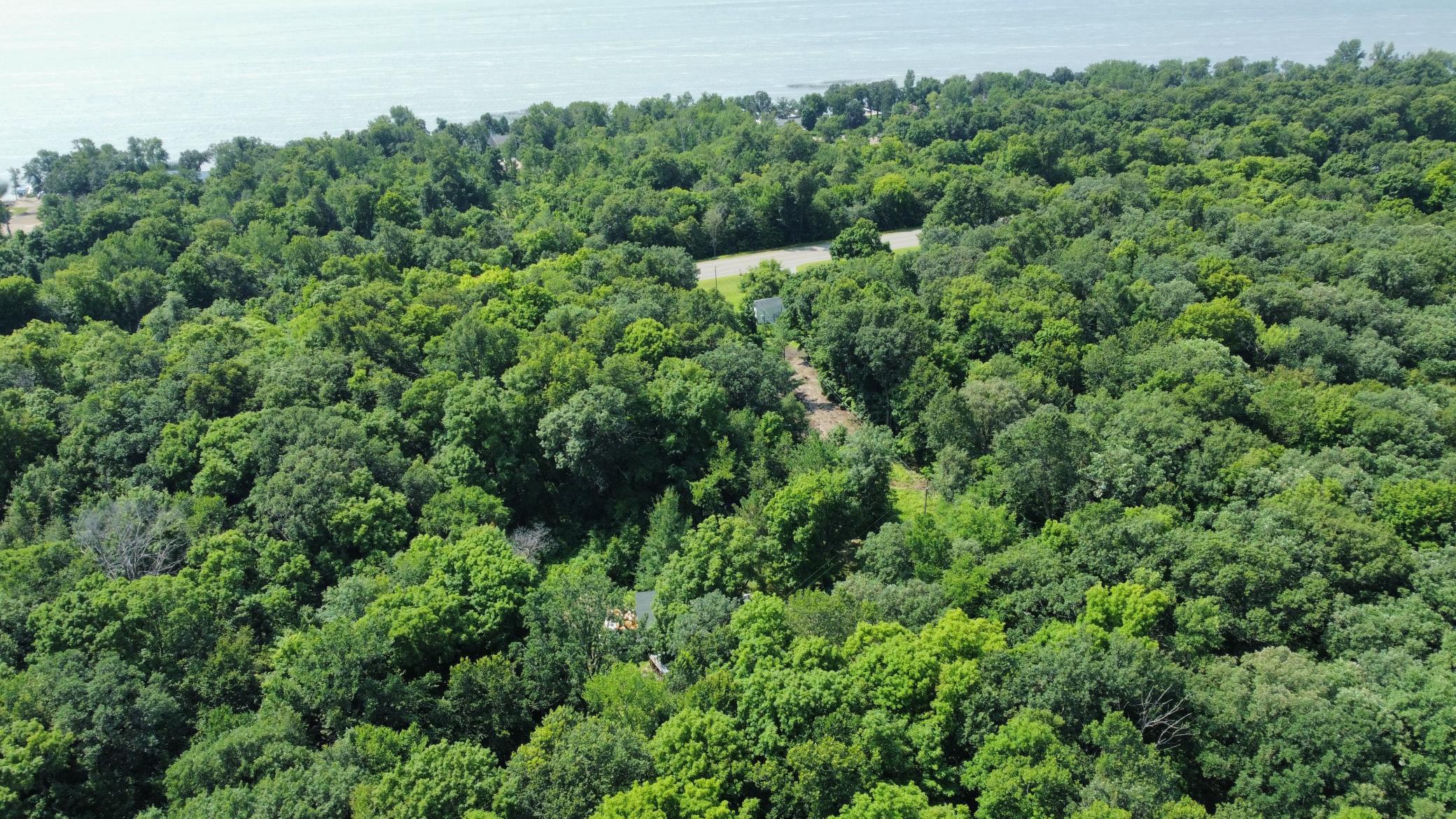 dji_fly_20240724_114918_754_1721839992479_photo_optimized.JPG