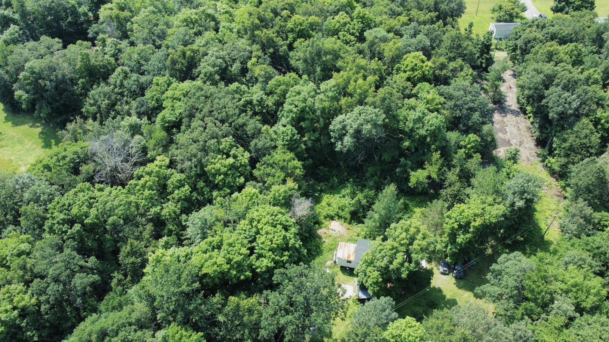 dji_fly_20240724_114946_755_1721840010635_photo_optimized.JPG