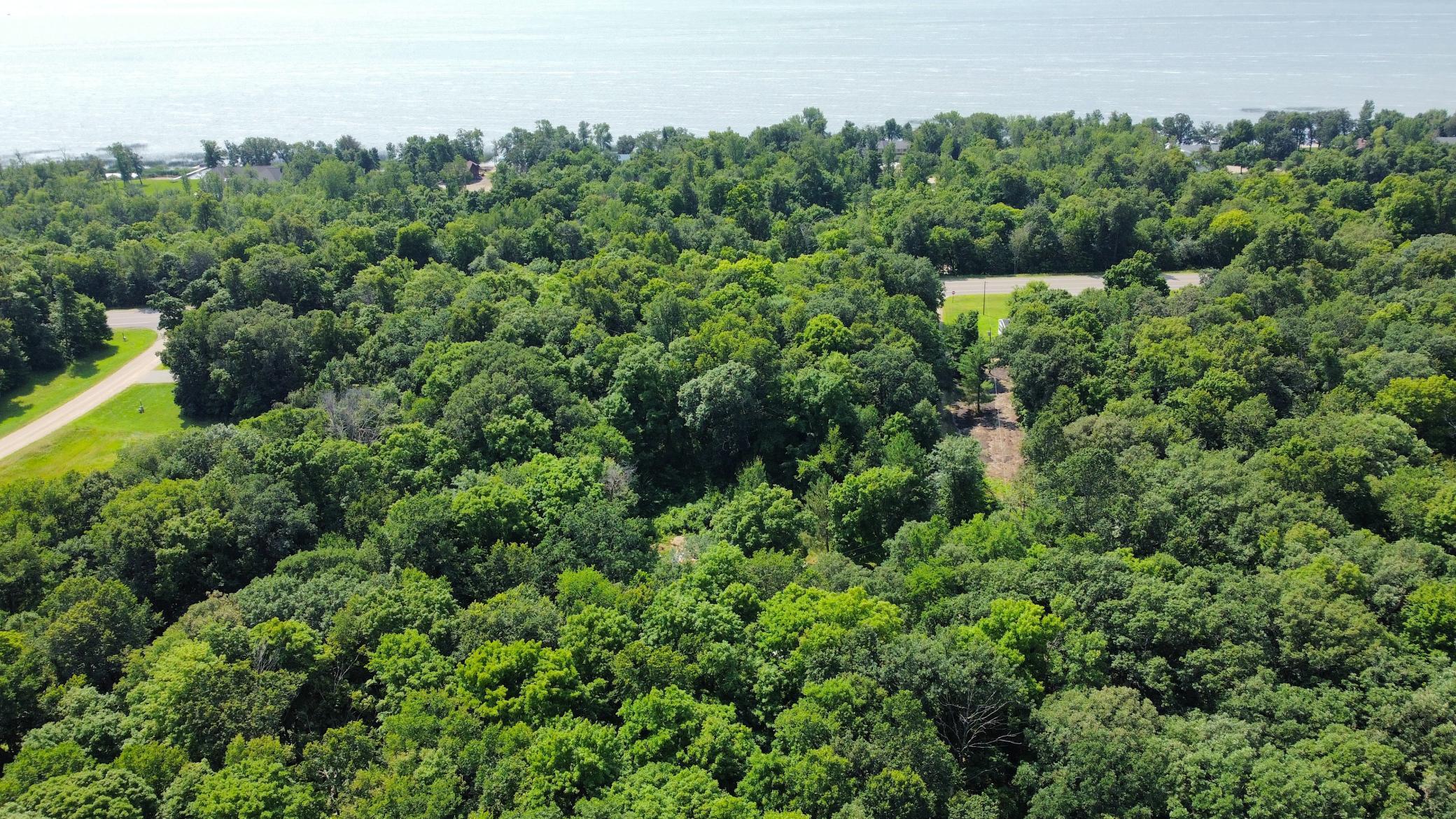 dji_fly_20240724_114844_751_1721839939482_photo_optimized.JPG