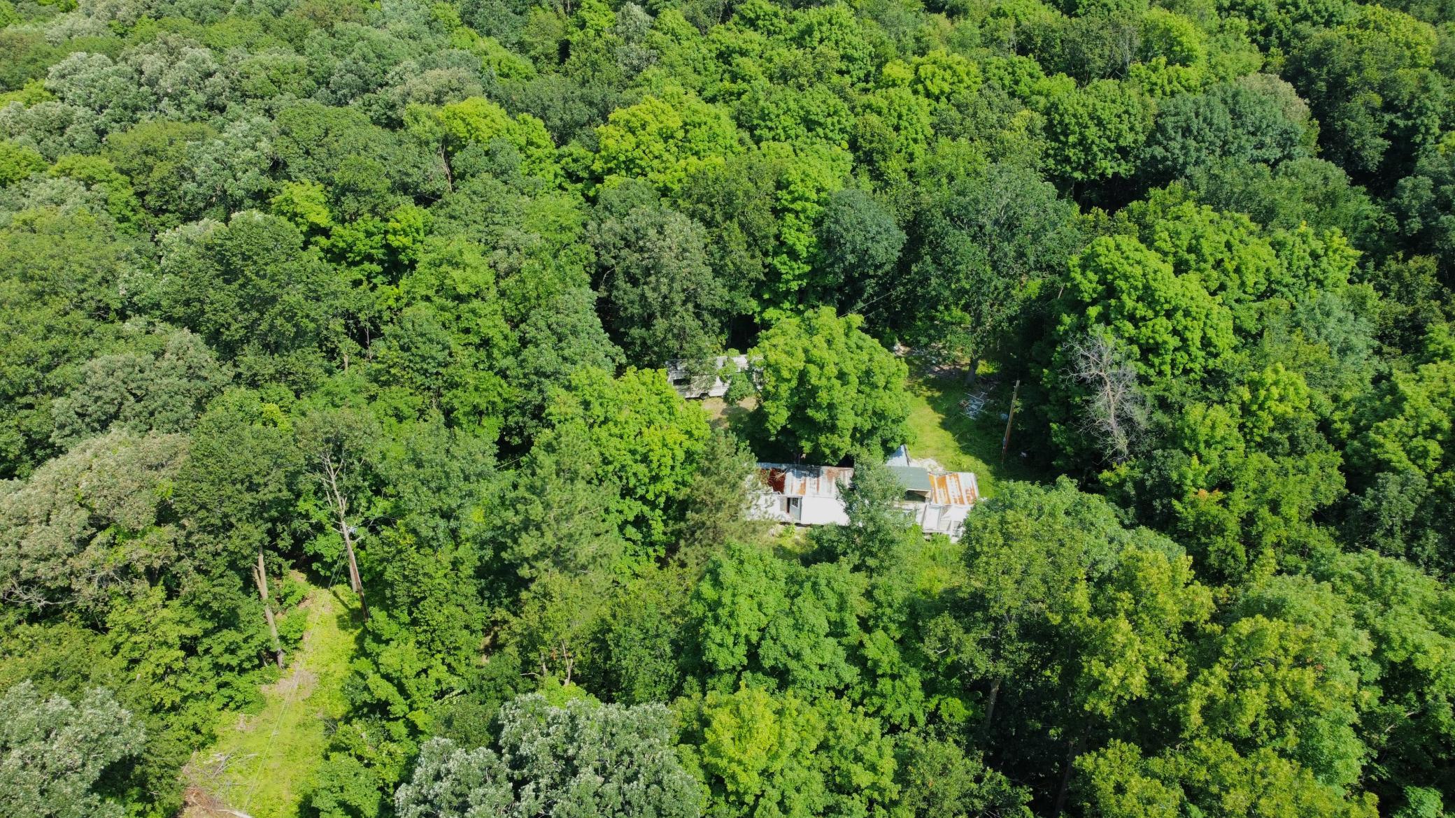 dji_fly_20240724_114750_748_1721839870146_photo_optimized.JPG