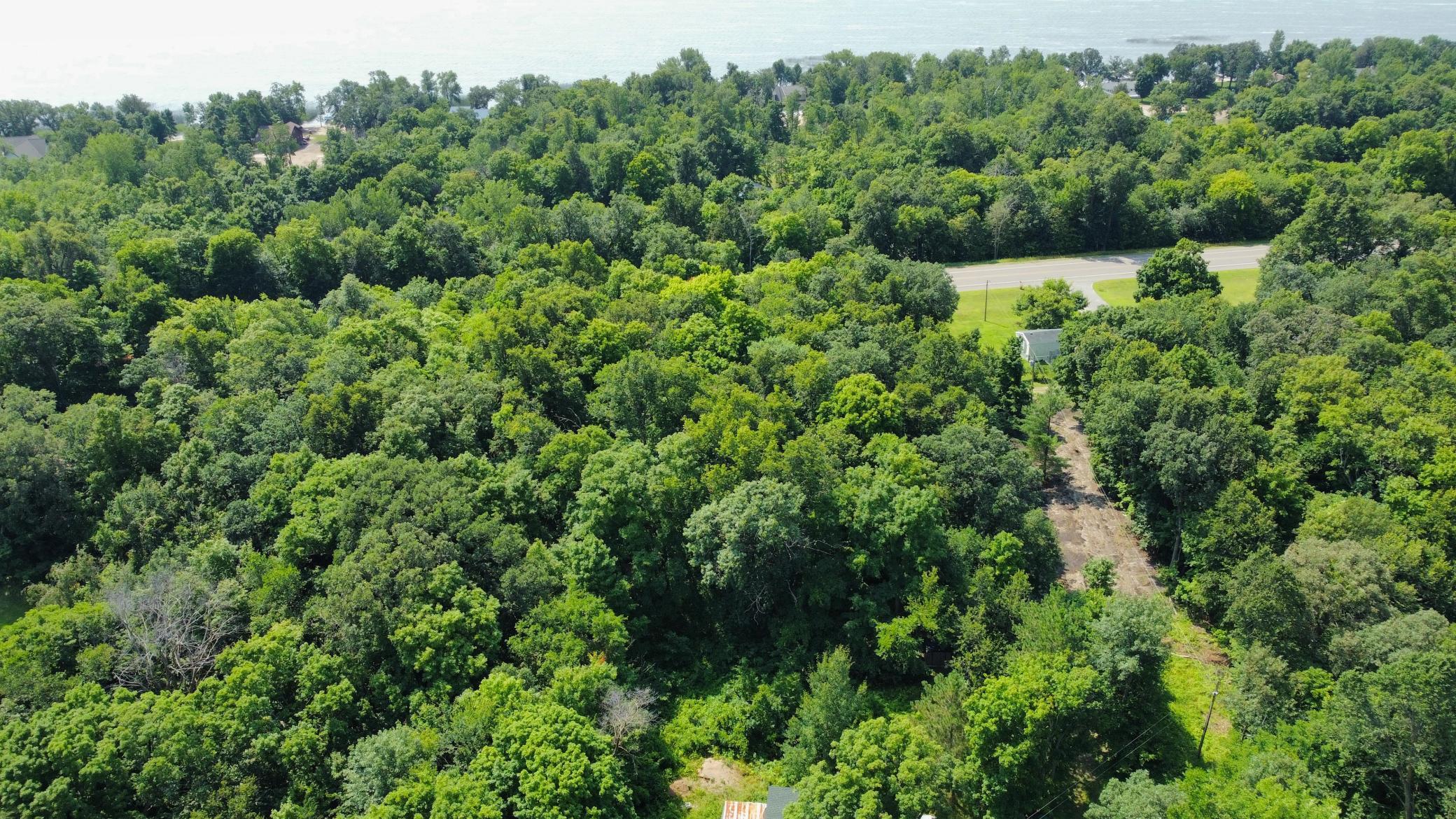 dji_fly_20240724_114958_756_1721840027423_photo_optimized.JPG