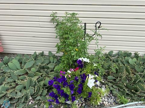 Flower Beds
