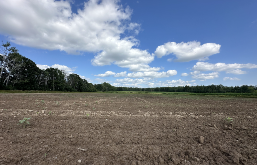 16XXX 65th Avenue, Milaca, MN 56353