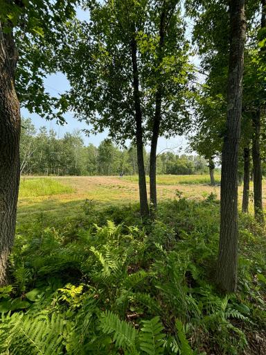20141 60th Avenue, Milaca, MN 56353