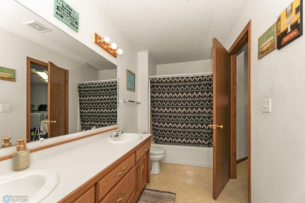 Lower level bathroom