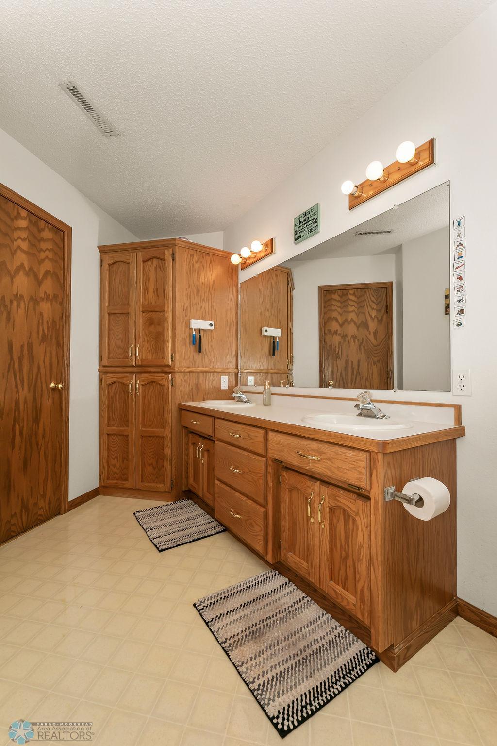 Lower level bathroom