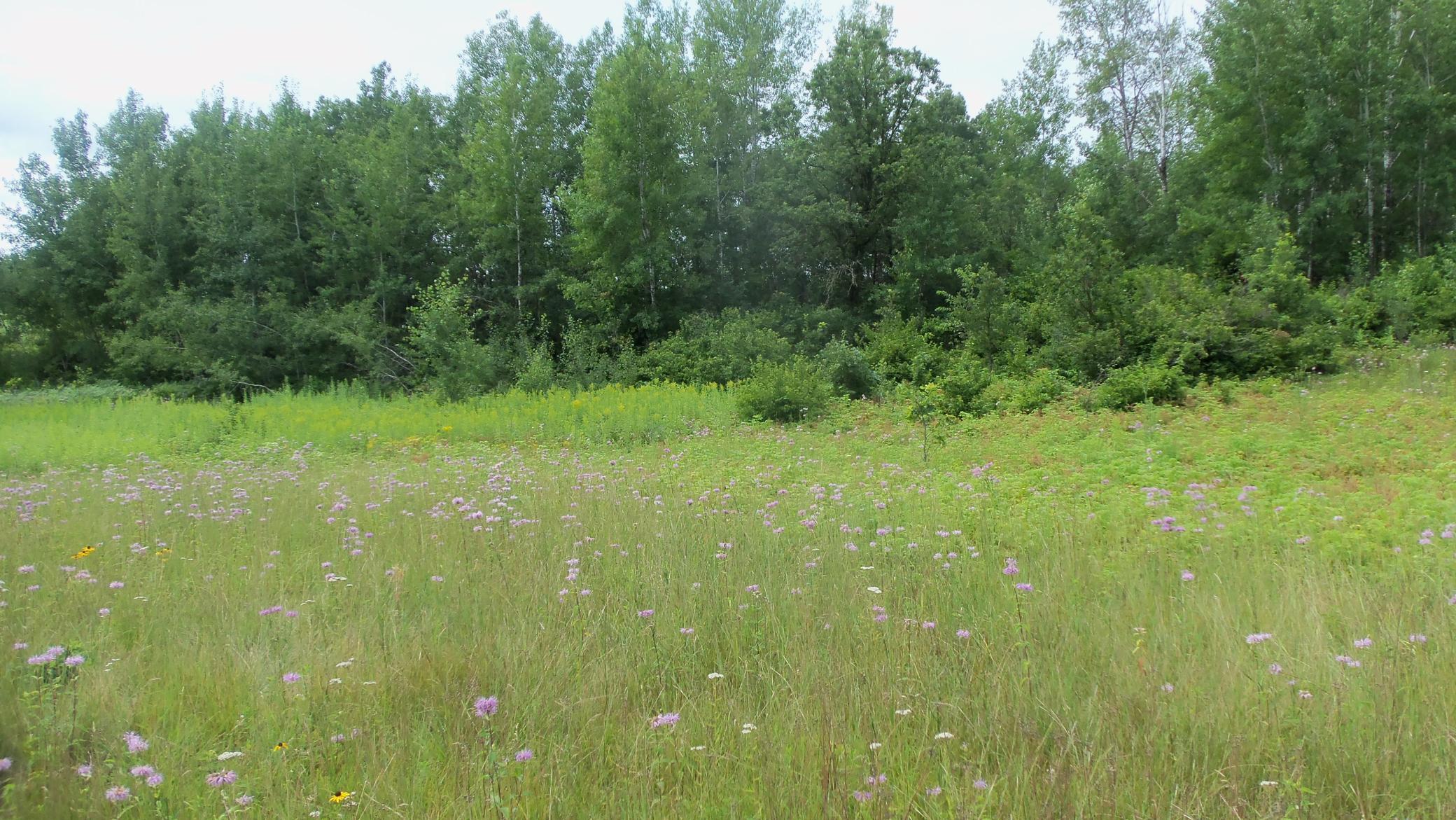 100_5598.JPG