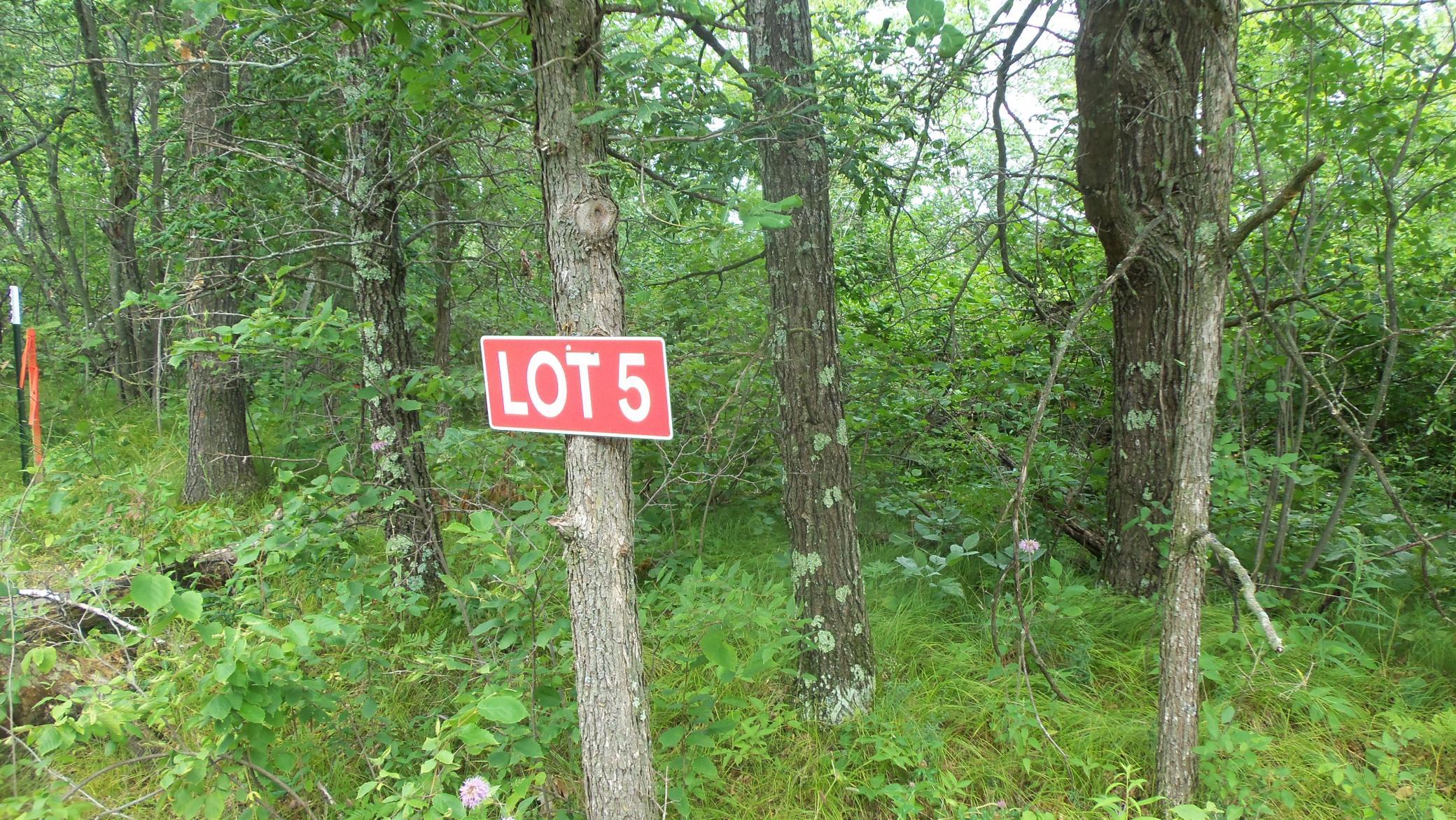 100_5592.JPG
