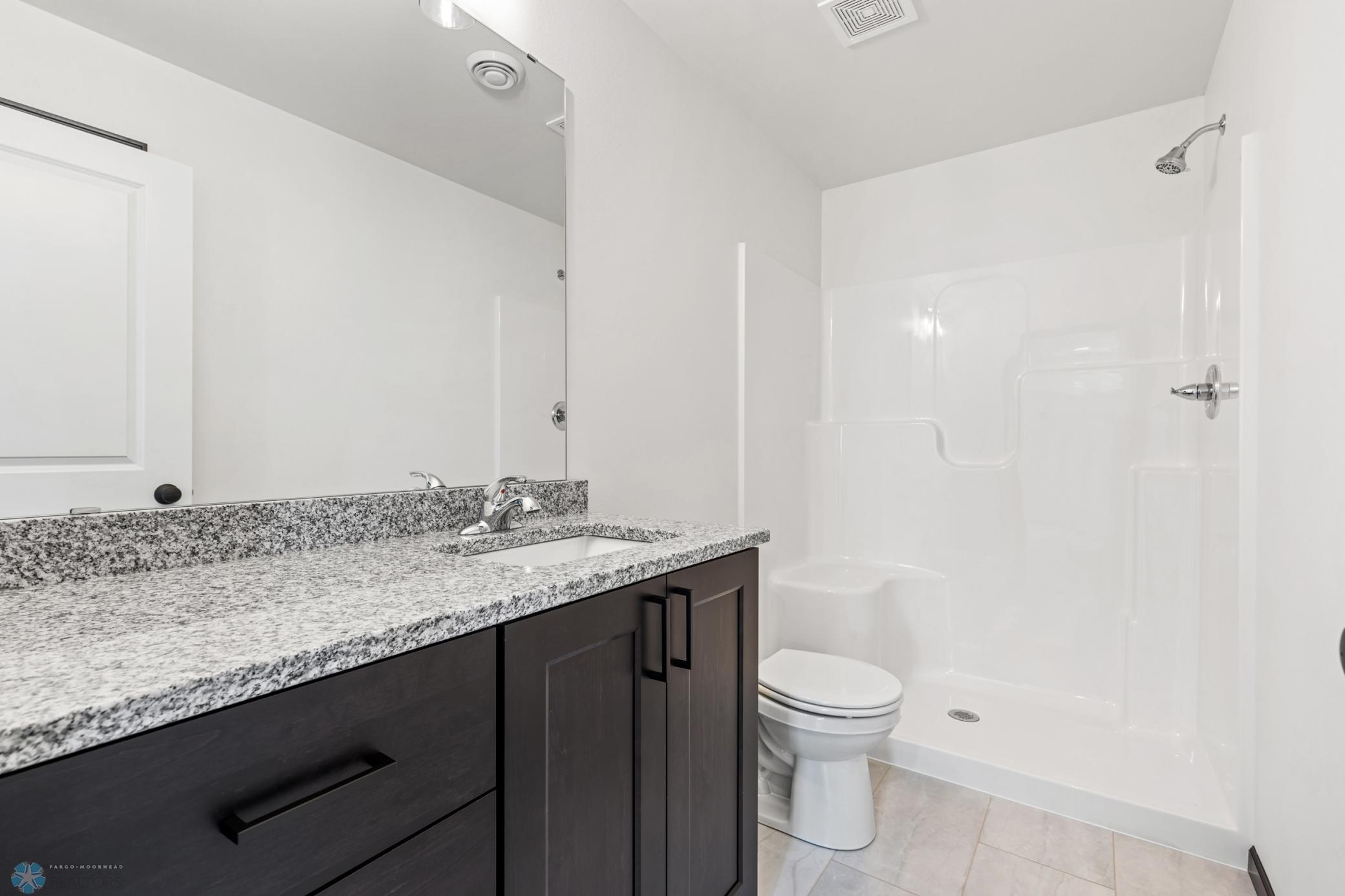 Lower Level Bath