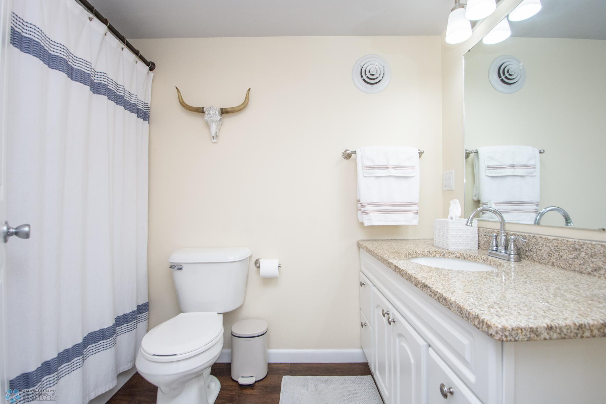 Full lower level Bath