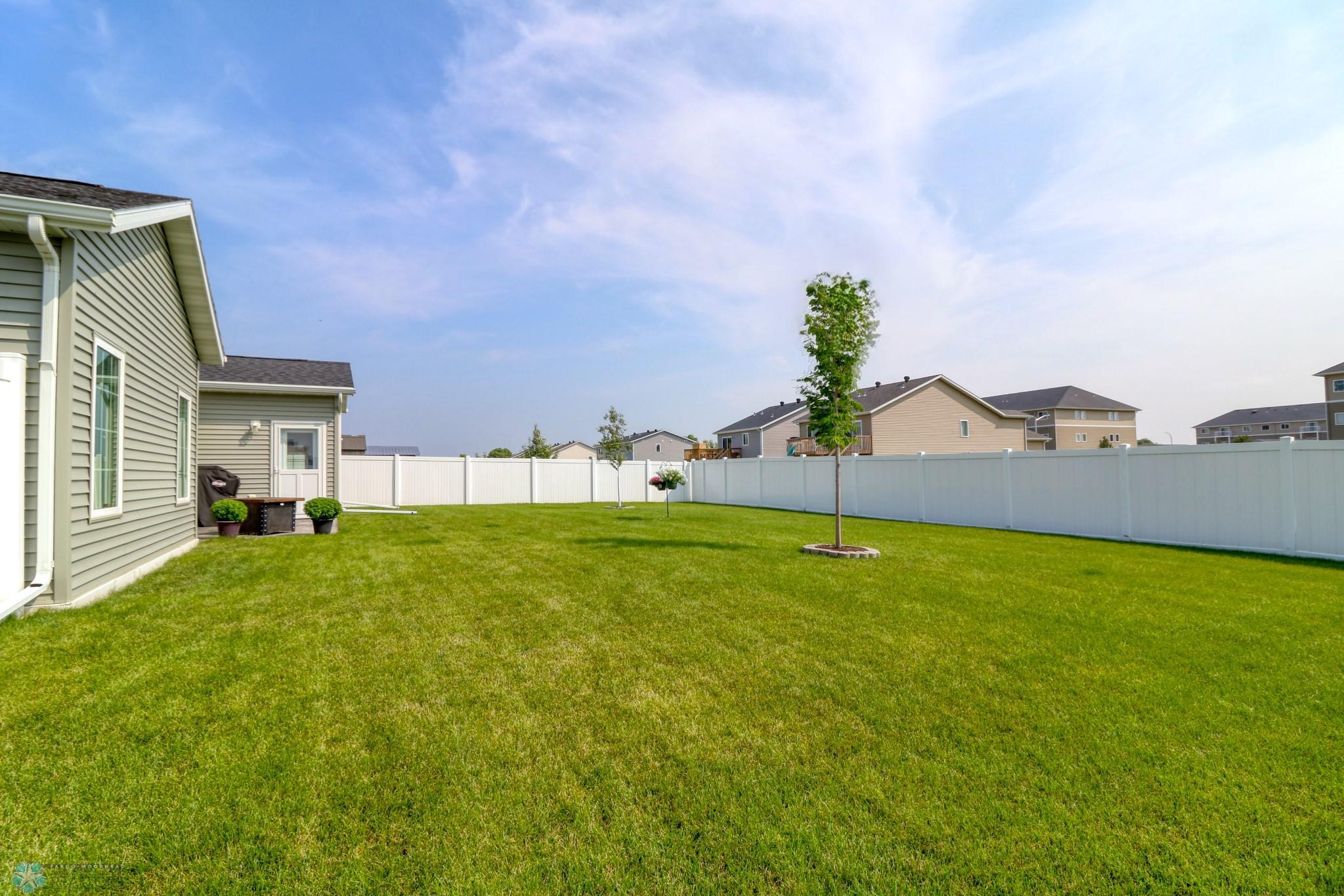 Backyard1_1.jpg