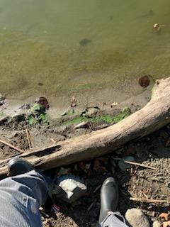 XXX Island of Circle Lake, Faribault, MN 55021