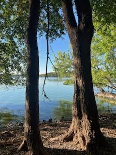 XXX Island of Circle Lake, Faribault, MN 55021