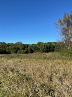 XXX Island of Circle Lake, Faribault, MN 55021