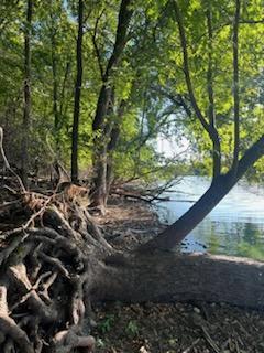 XXX Island of Circle Lake, Faribault, MN 55021