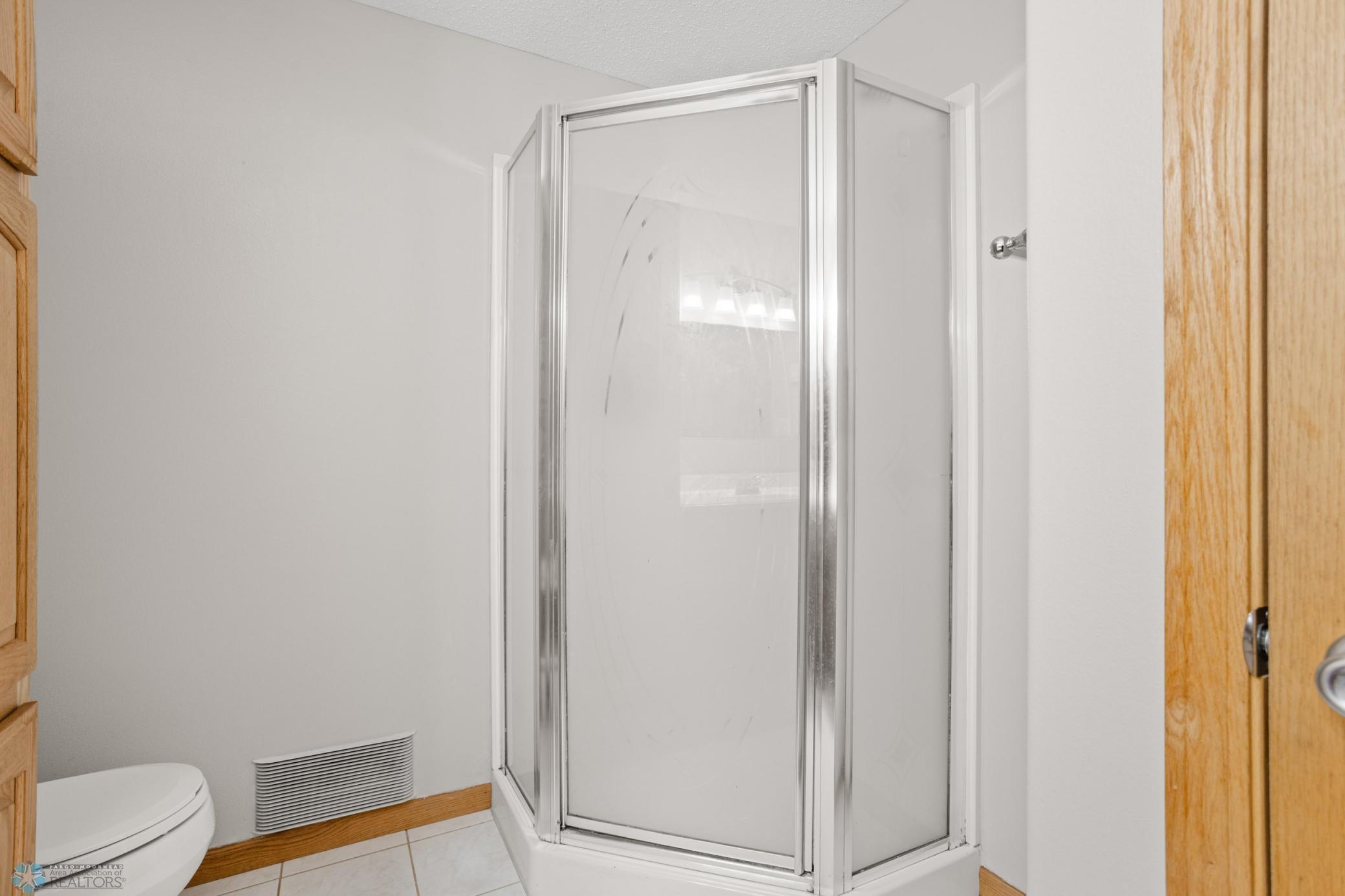 Lower Level Bathroom 2