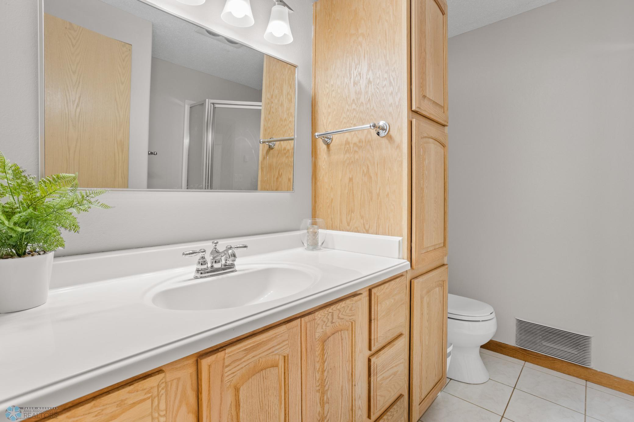 Lower Level Bathroom