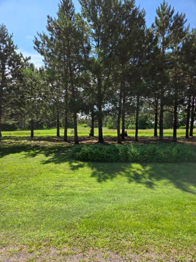 TBD Hoffman Beach Drive, Hillman, MN 56338