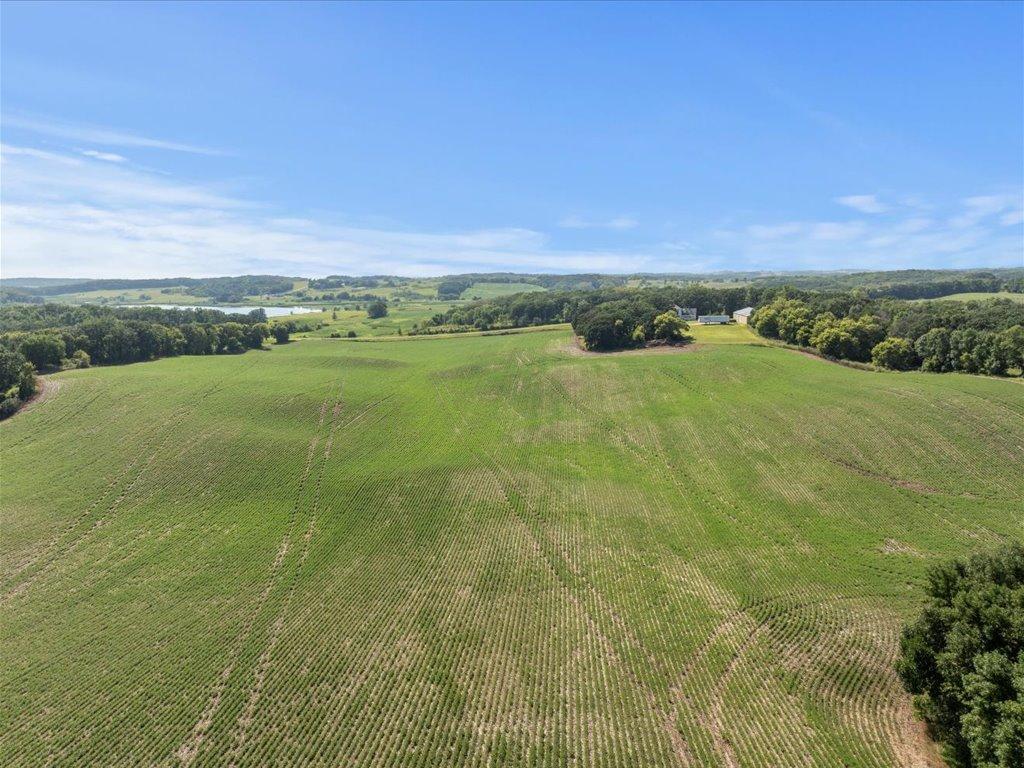 19-DJI_20240801145605_0562_D.jpg
