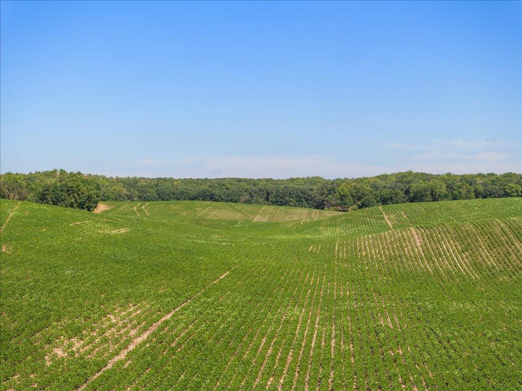 07-DJI_20240801145230_0530_D.jpg
