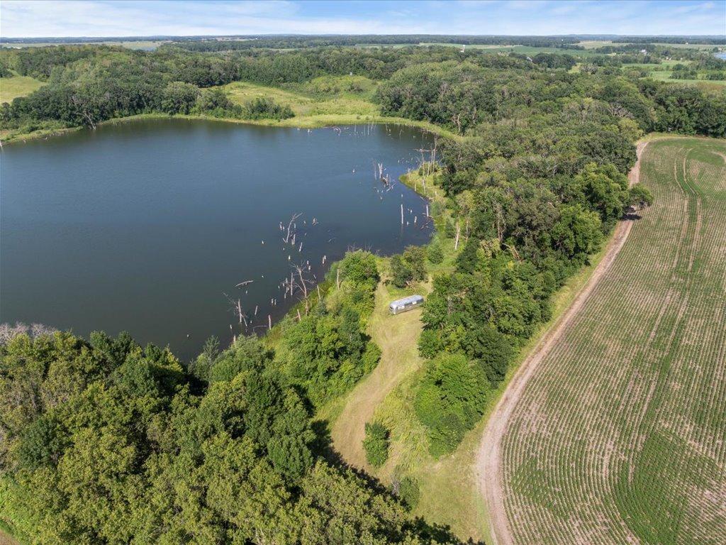 16-DJI_20240801150110_0585_D.jpg