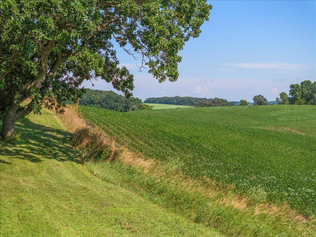 06-DJI_20240801145323_0535_D.jpg
