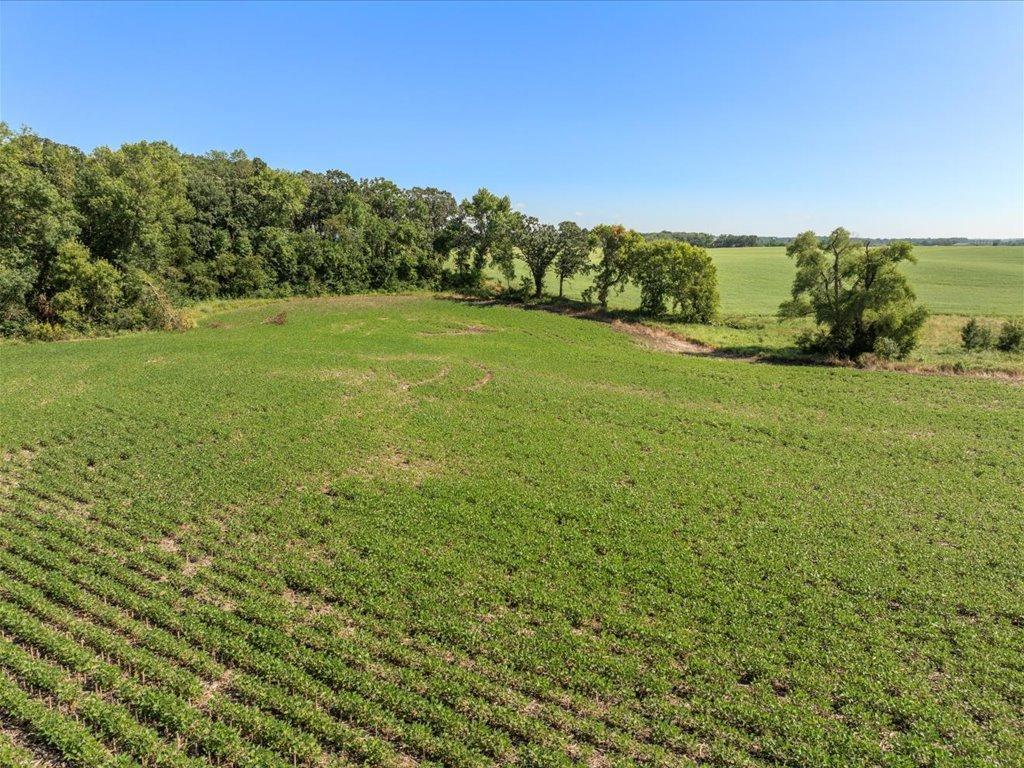 09-DJI_20240801145709_0568_D.jpg