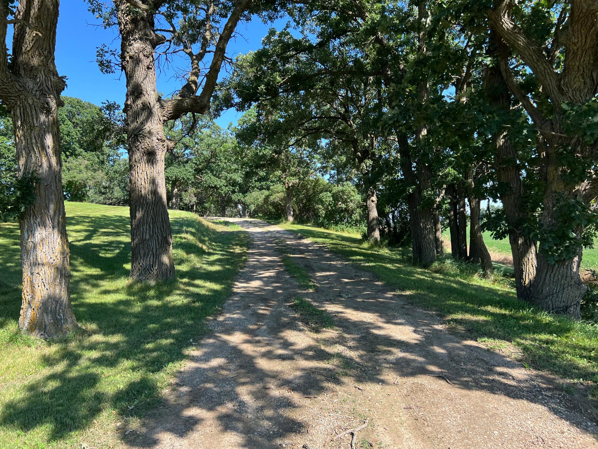 IMG_5746.jpeg