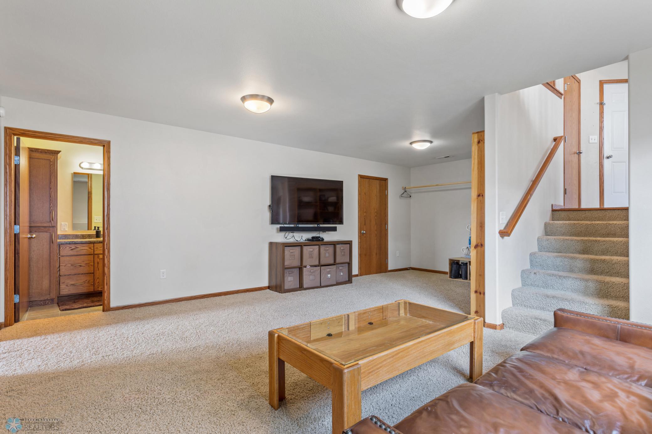 Basement Living Room