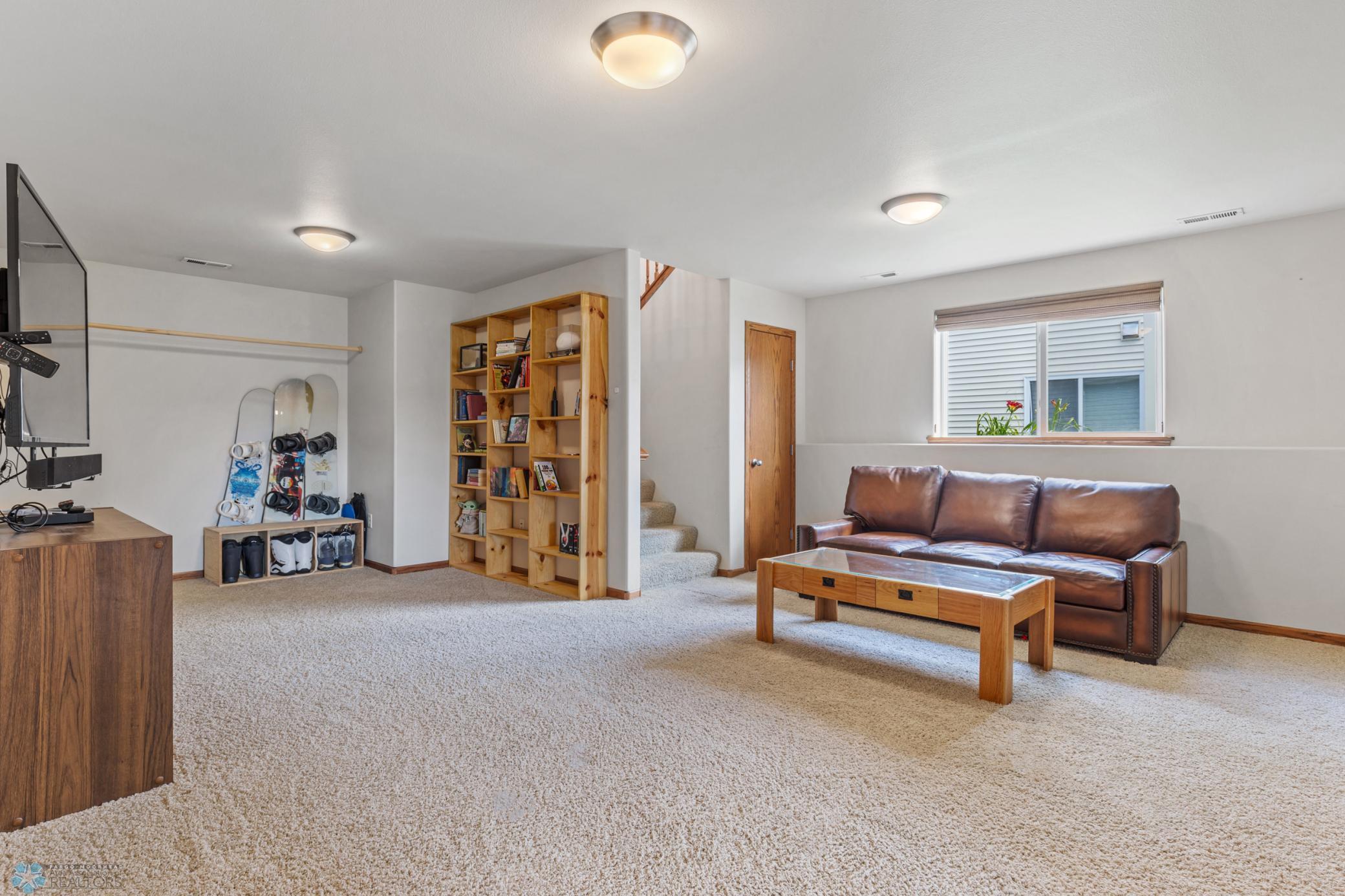 Basement Living Room