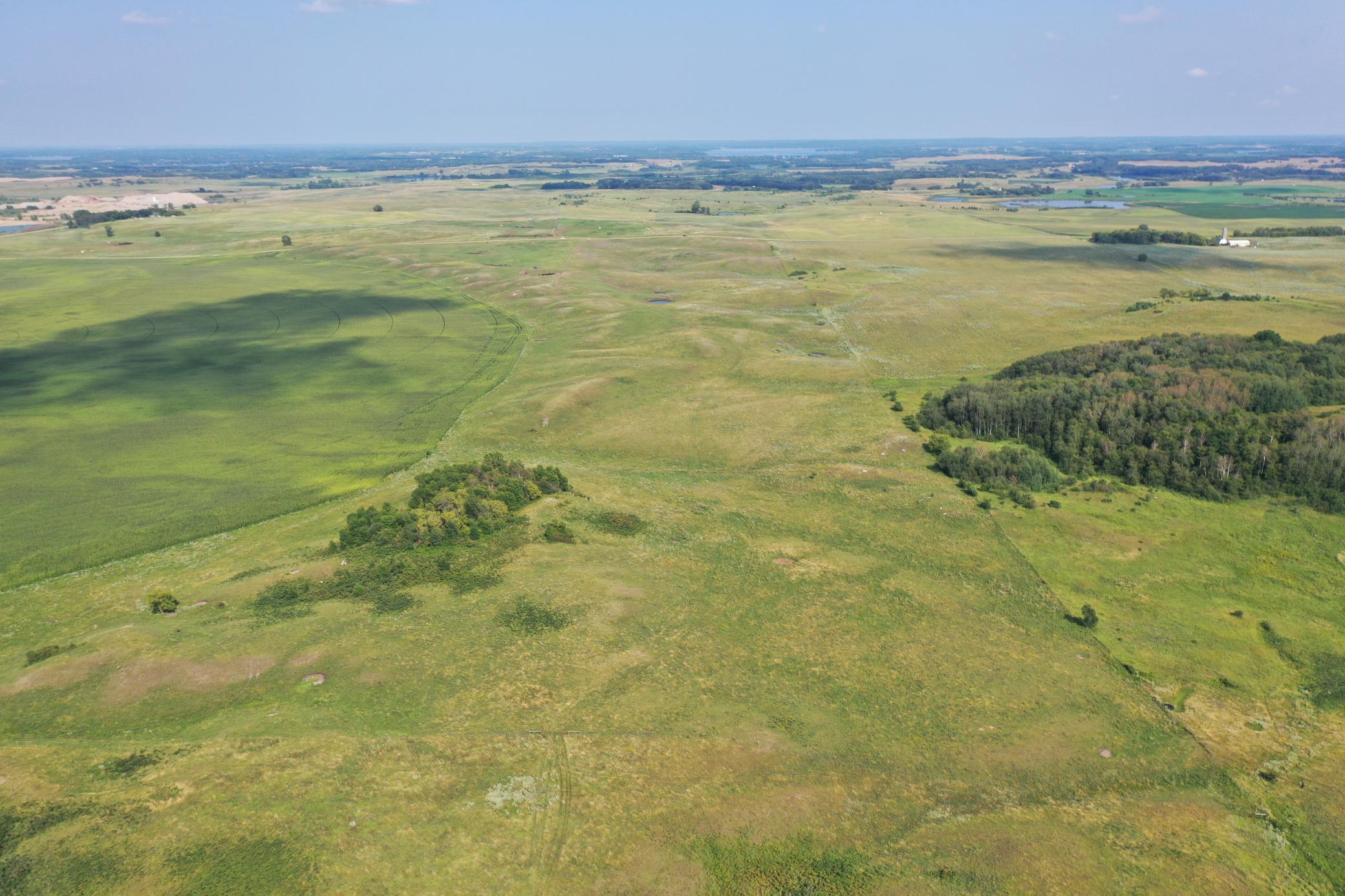 DJI_0767.JPG