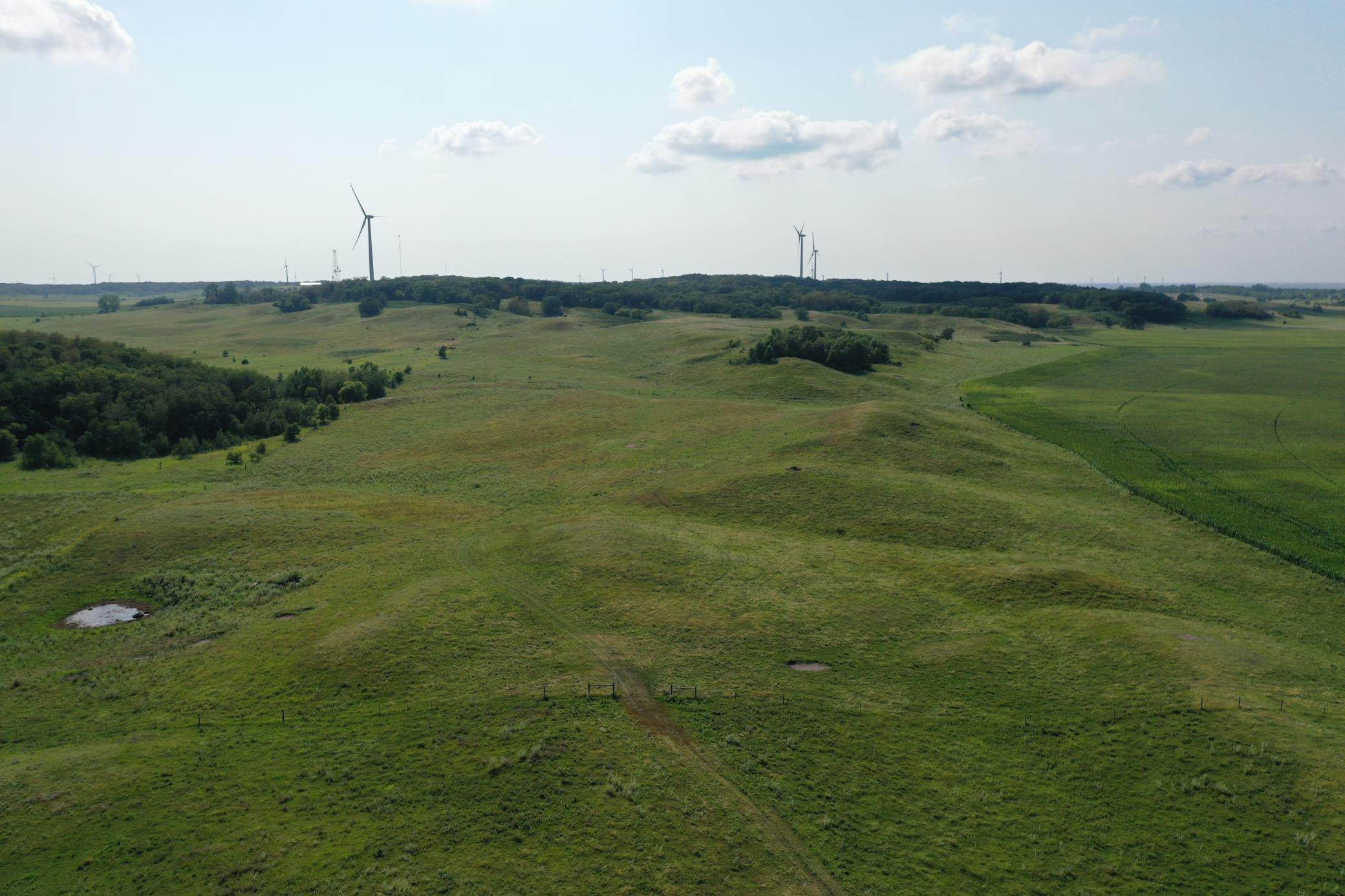 DJI_0775.JPG