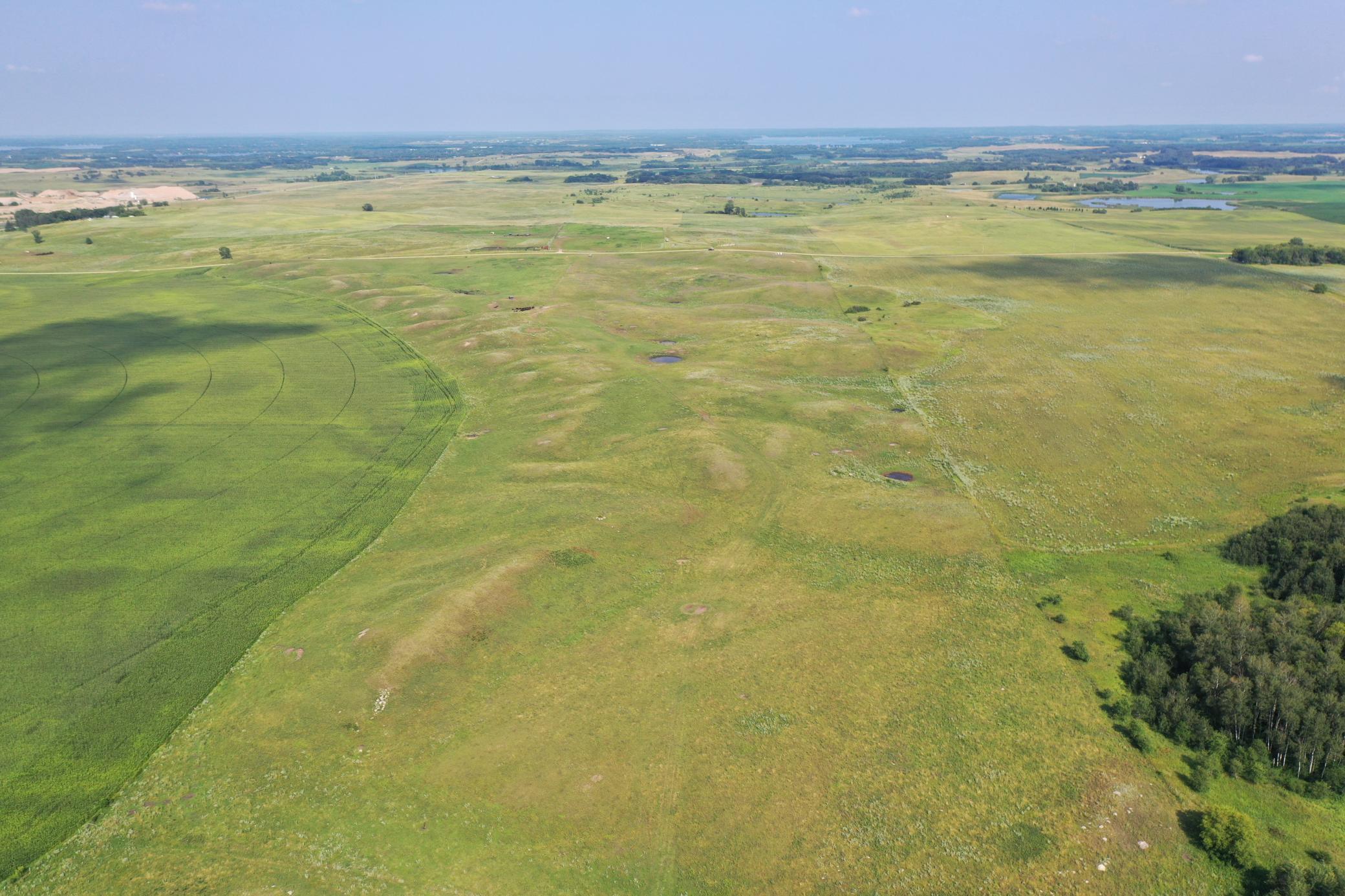 DJI_0769.JPG
