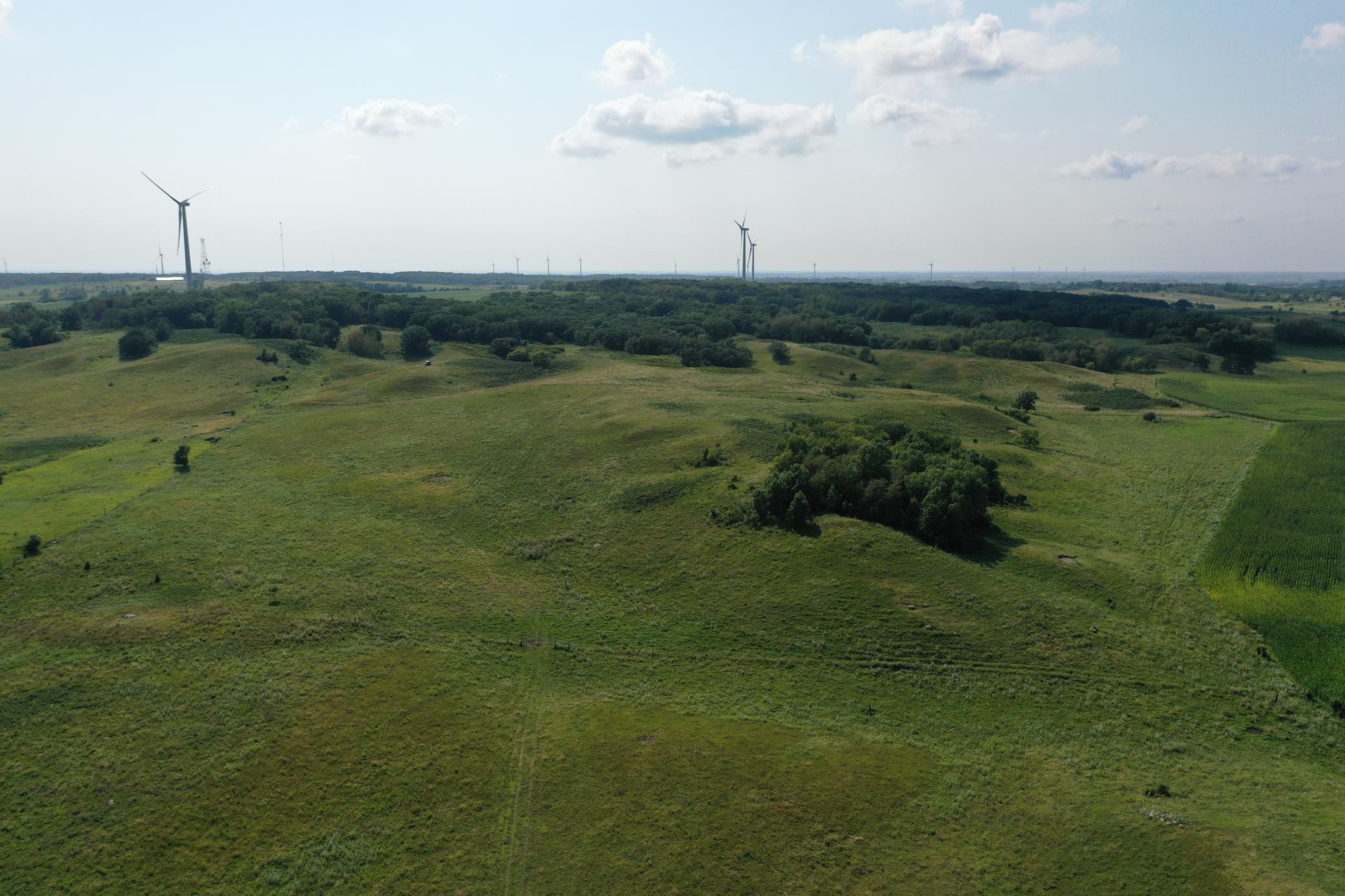 DJI_0776.JPG