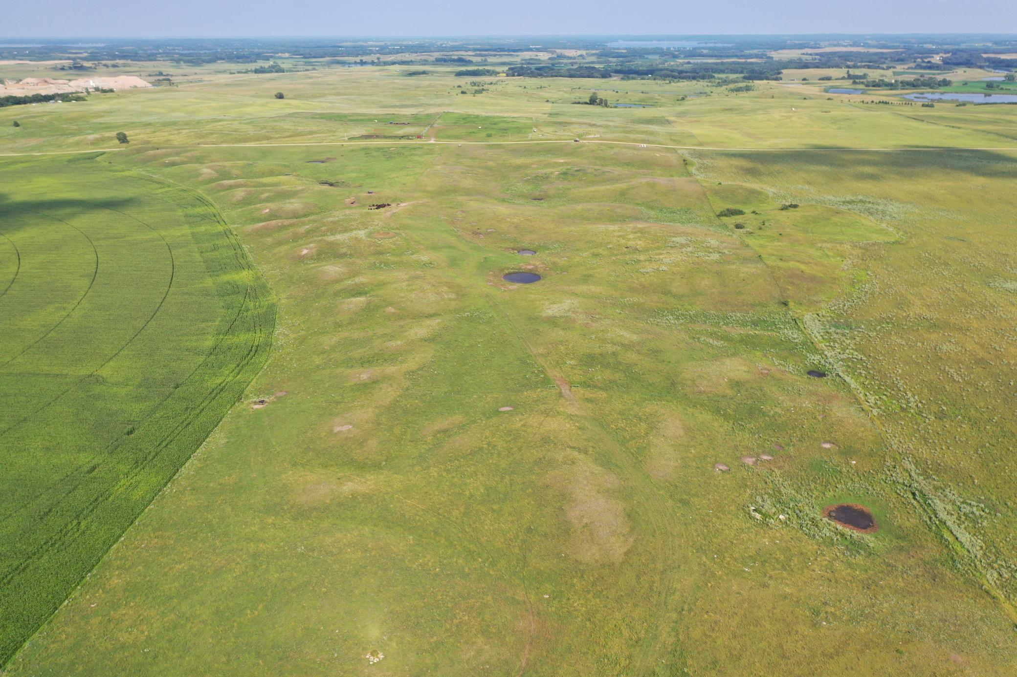 DJI_0770.JPG