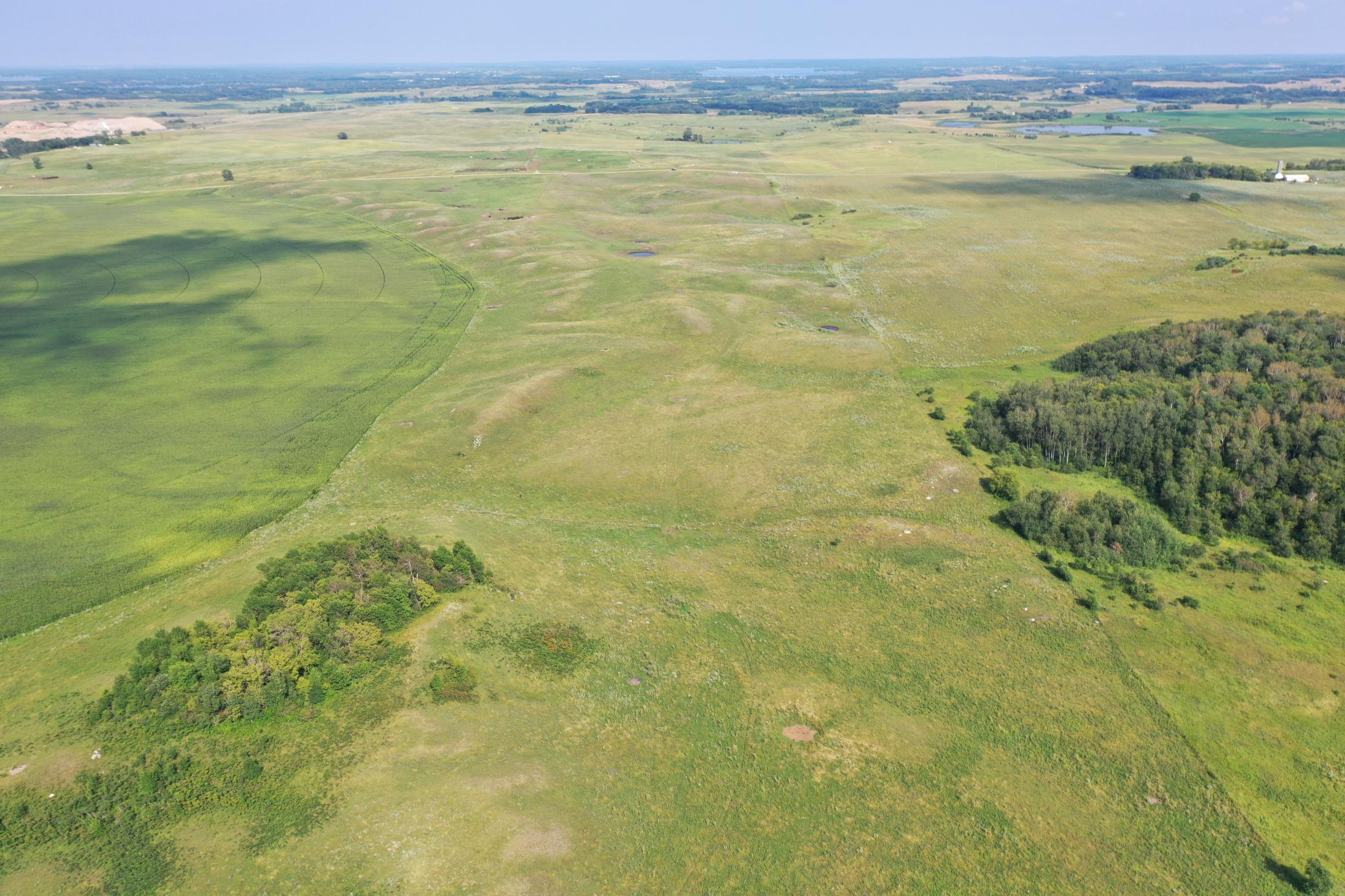 DJI_0768.JPG