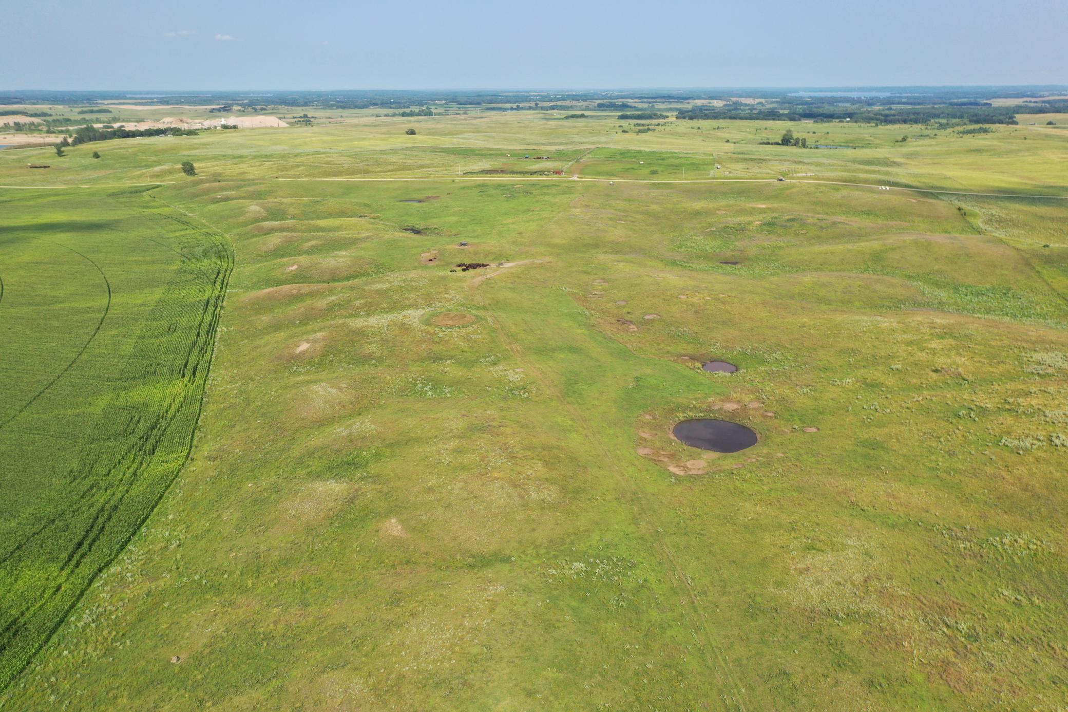DJI_0771.JPG