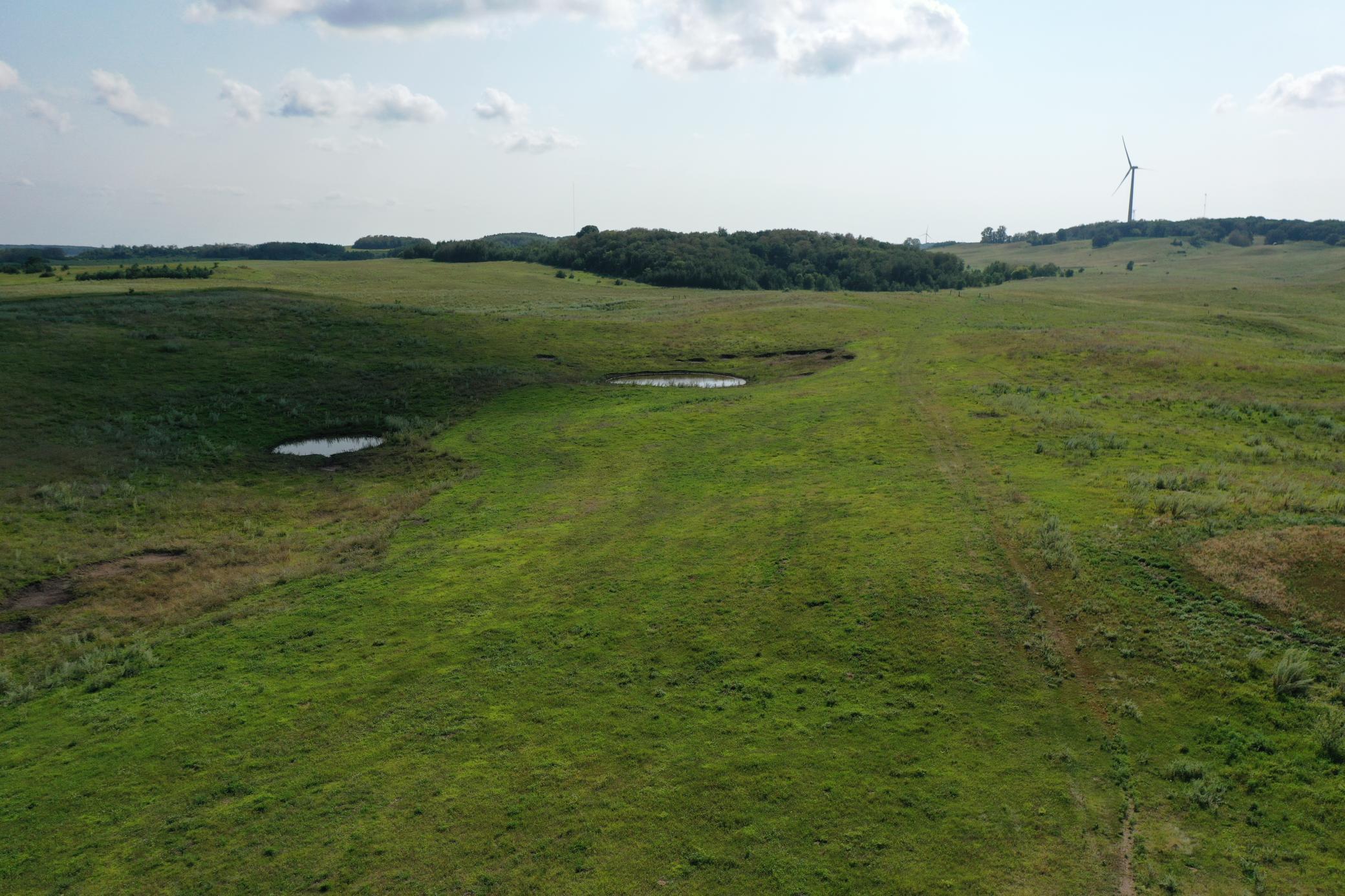 DJI_0774.JPG