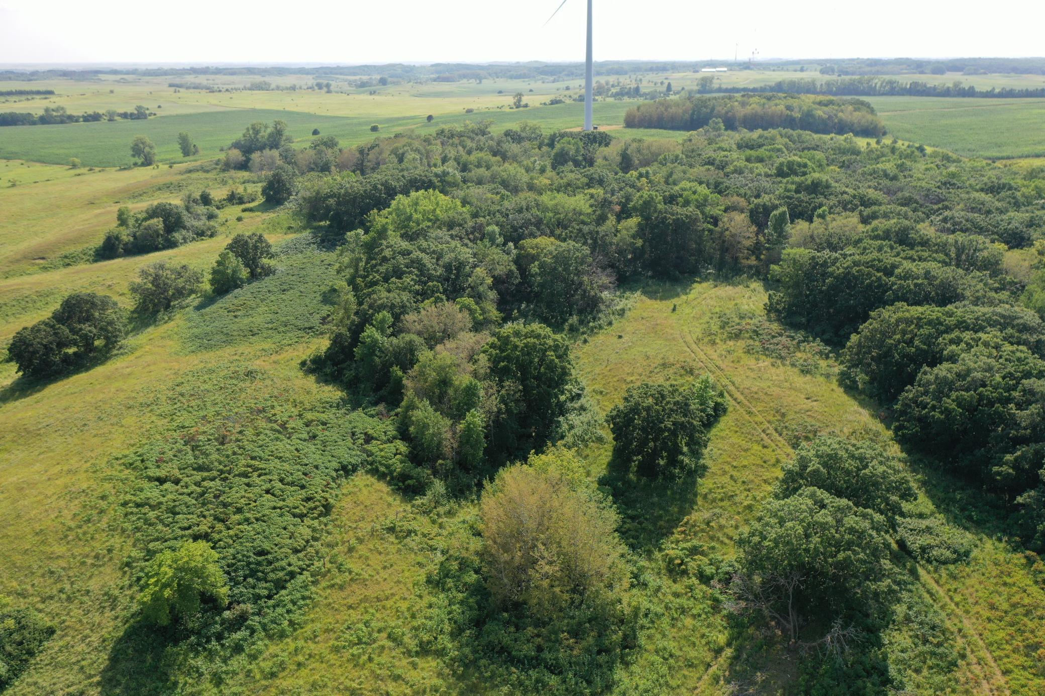 DJI_0761.JPG
