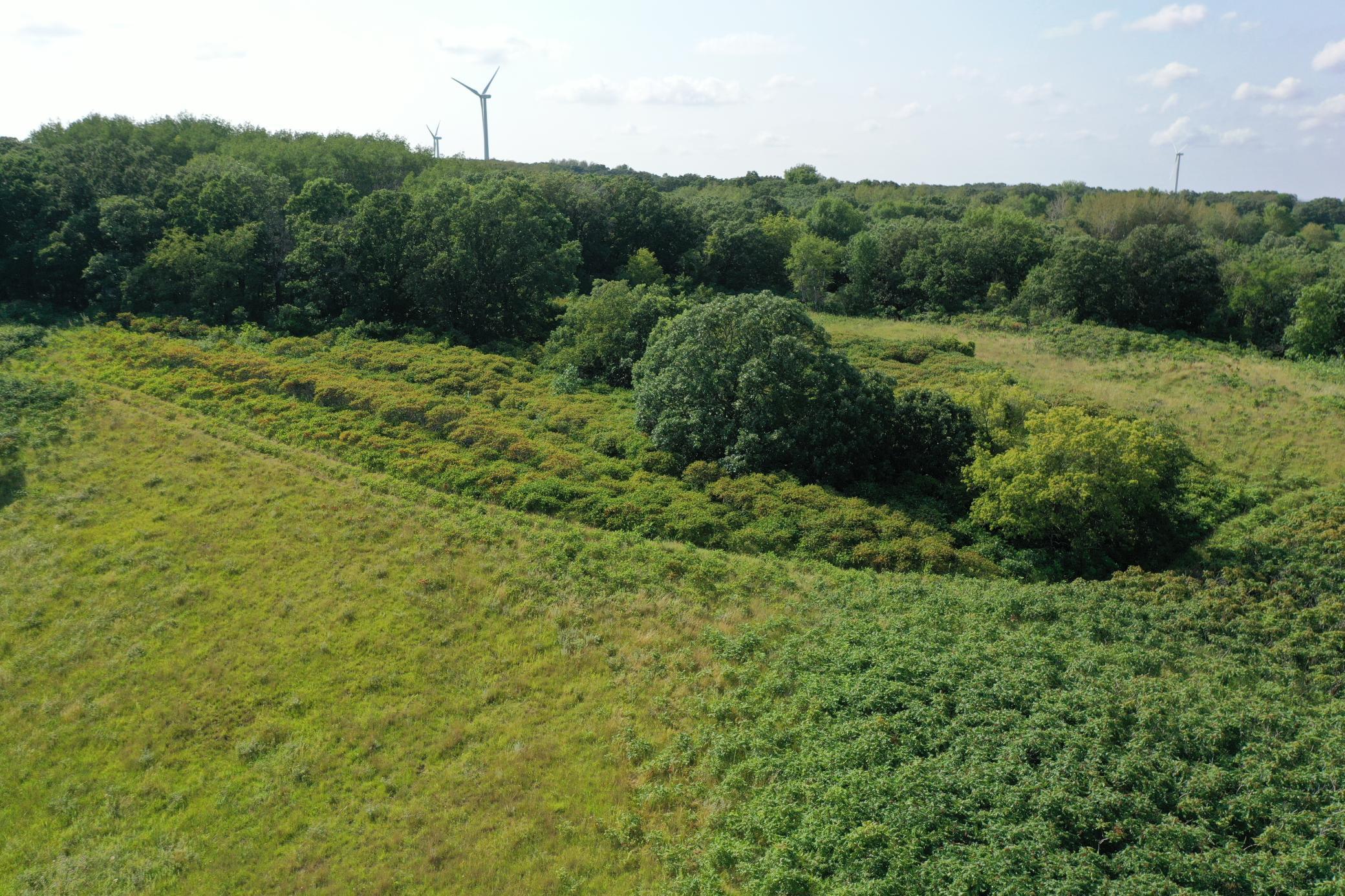 DJI_0758.JPG