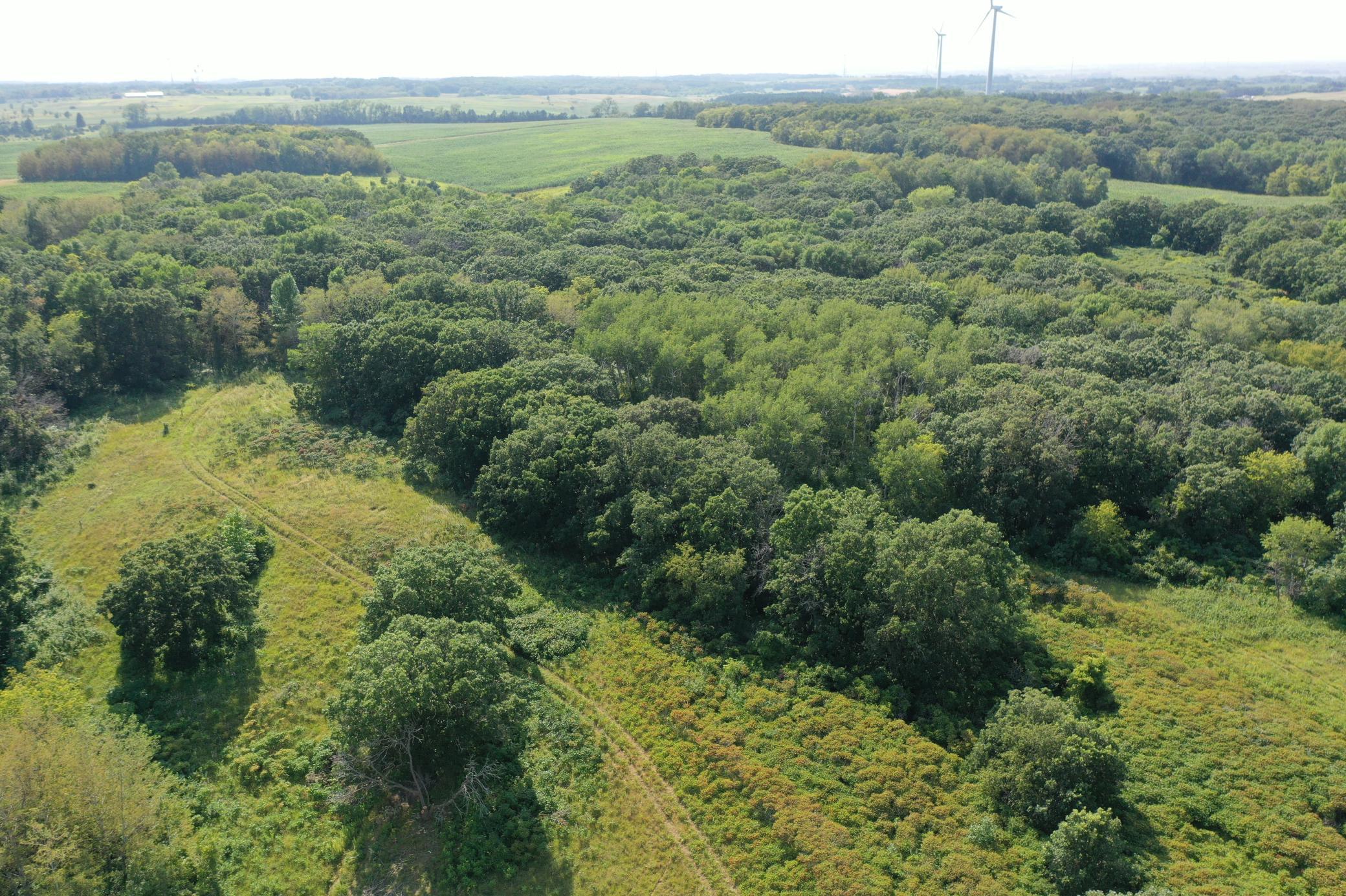 DJI_0760.JPG