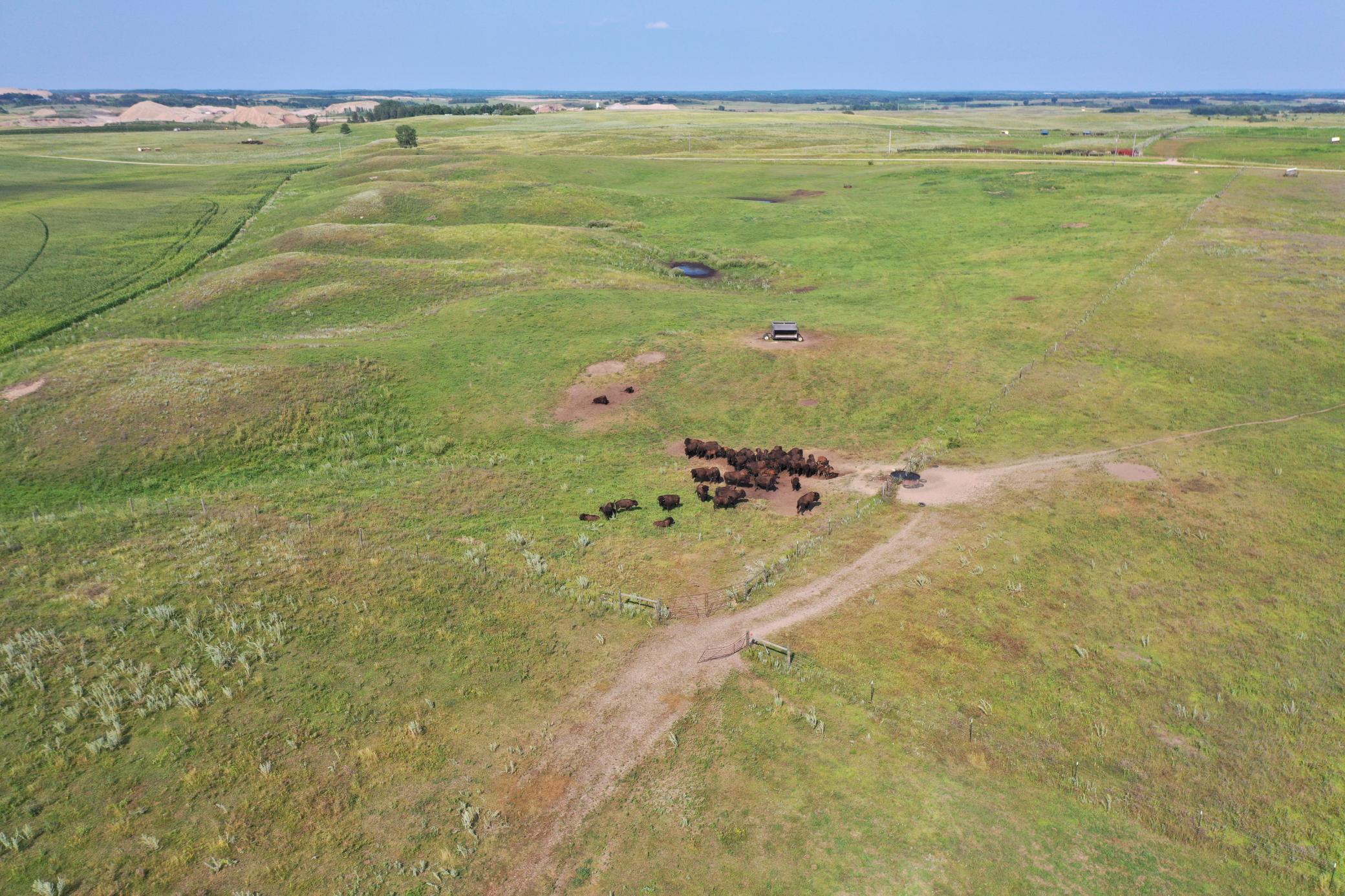 DJI_0772.JPG