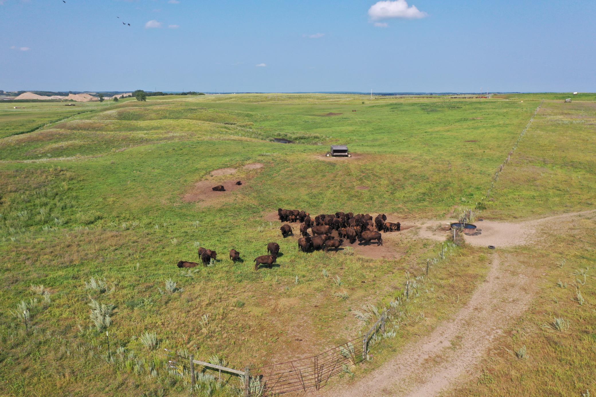 DJI_0773.JPG