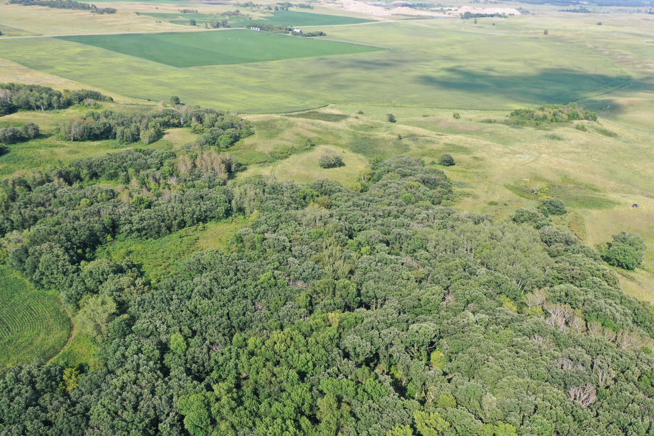 DJI_0763.JPG