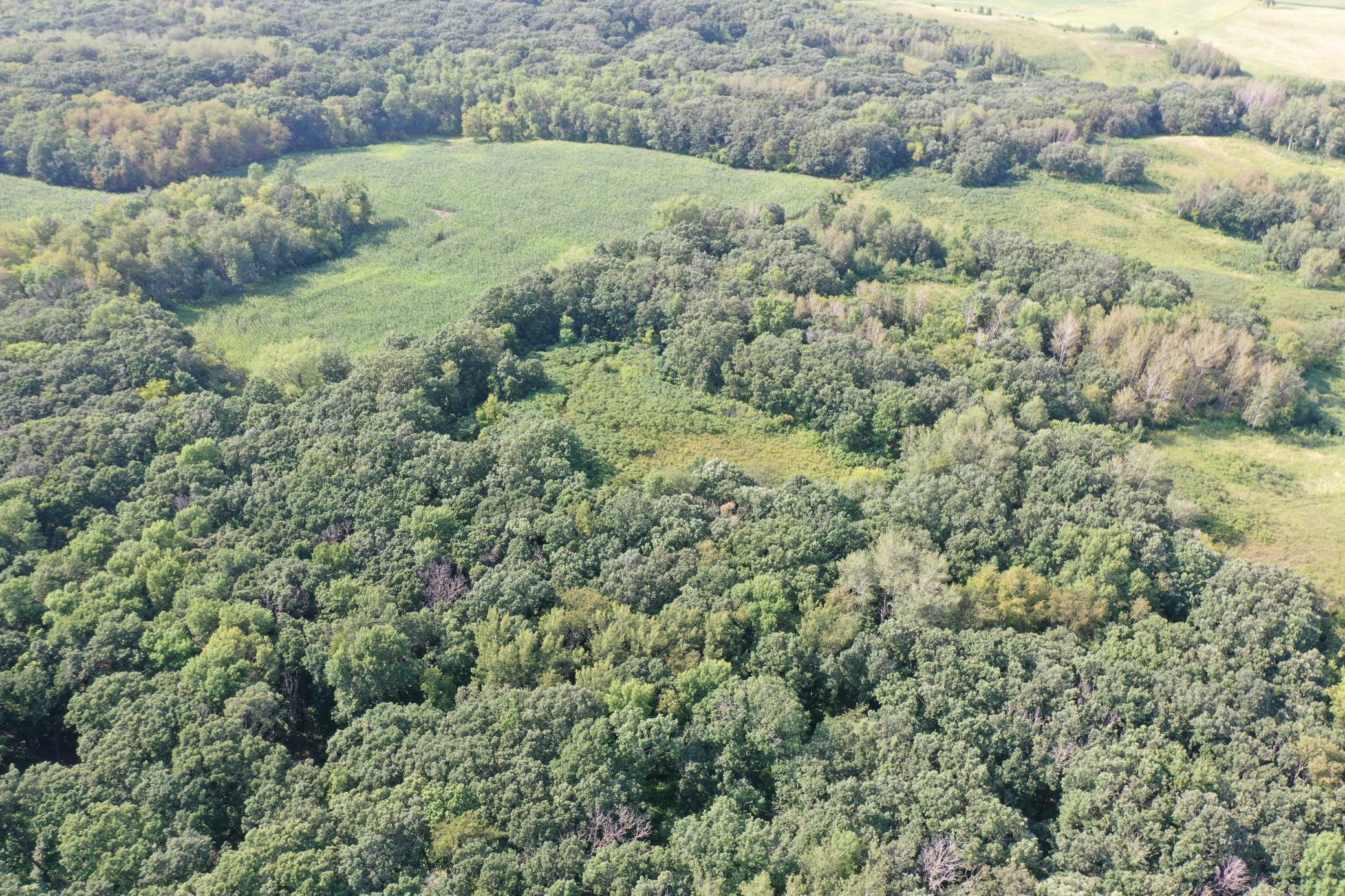DJI_0762.JPG